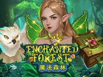 Enchanted Forest screenshot